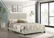 Dorian - Upholstered Panel Bed – Upholstered Beds by CoasterEveryday at Furniture Wholesale Plus , Nashville furniture store
