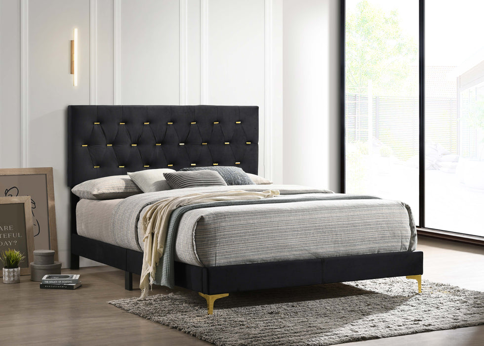 Kendall Tufted Panel Bed Black and Gold - Premium Bed from Coaster Z2 Standard - Just $226! Shop now at Furniture Wholesale Plus  We are the best furniture store in Nashville, Hendersonville, Goodlettsville, Madison, Antioch, Mount Juliet, Lebanon, Gallatin, Springfield, Murfreesboro, Franklin, Brentwood