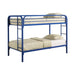 Morgan Twin Over Twin Bunk Bed Blue - Premium Bunk Bed from Coaster Z2 Standard - Just $378! Shop now at Furniture Wholesale Plus  We are the best furniture store in Nashville, Hendersonville, Goodlettsville, Madison, Antioch, Mount Juliet, Lebanon, Gallatin, Springfield, Murfreesboro, Franklin, Brentwood