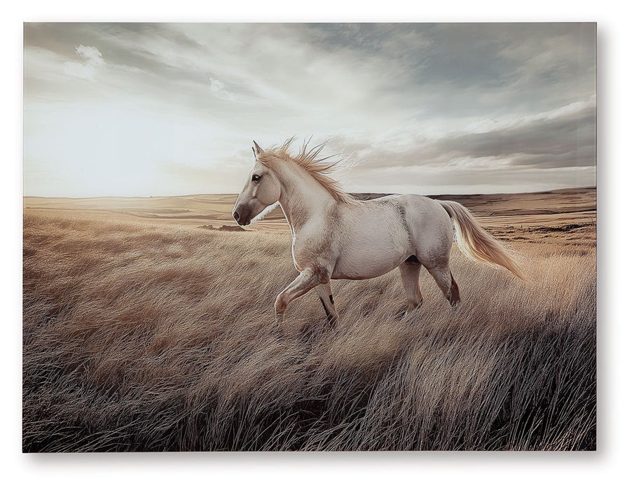 Errolville - Wall Art - Multi – Wall Decor by Signature Design by Ashley® at Furniture Wholesale Plus , Nashville furniture store