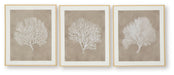 Hendridge - Wall Art Set (Set of 3) - Taupe / White – Framed Print Sets by Signature Design by Ashley® at Furniture Wholesale Plus , Nashville furniture store