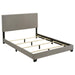 Dorian - Upholstered Panel Bed – Upholstered Beds by CoasterEveryday at Furniture Wholesale Plus , Nashville furniture store