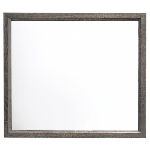 Watson - Dresser Mirror - Gray Oak - Premium Bedroom Mirrors from CoasterEveryday - Just $99! Shop now at Furniture Wholesale Plus  We are the best furniture store in Nashville, Hendersonville, Goodlettsville, Madison, Antioch, Mount Juliet, Lebanon, Gallatin, Springfield, Murfreesboro, Franklin, Brentwood