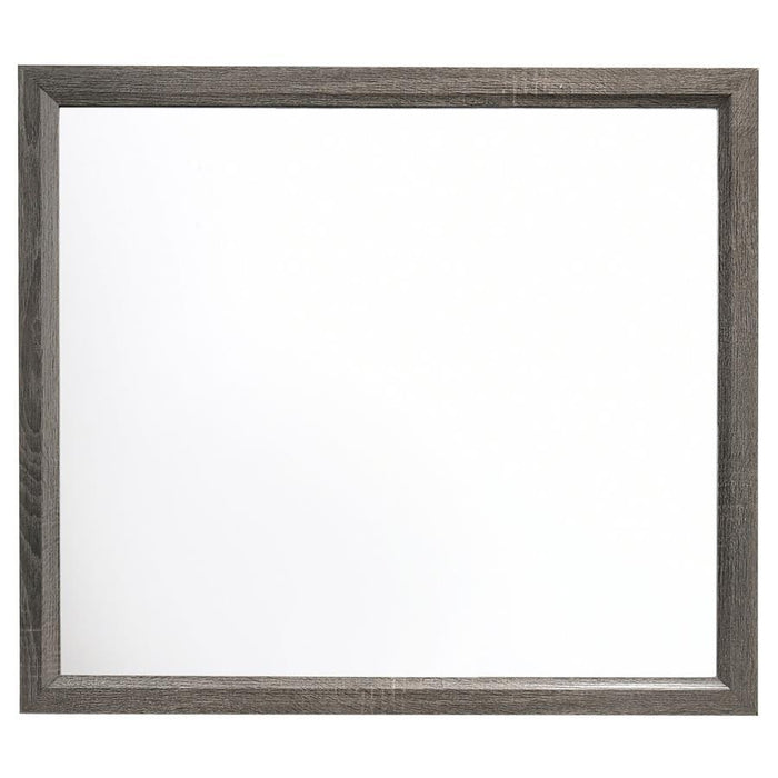 Watson - Dresser Mirror - Gray Oak – Mirrors by CoasterEveryday at Furniture Wholesale Plus , Nashville furniture store