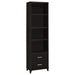 Lewes - 4-Shelf Engineered Wood Media Tower - Cappuccino - Premium Piers from CoasterEssence - Just $249! Shop now at Furniture Wholesale Plus  We are the best furniture store in Nashville, Hendersonville, Goodlettsville, Madison, Antioch, Mount Juliet, Lebanon, Gallatin, Springfield, Murfreesboro, Franklin, Brentwood