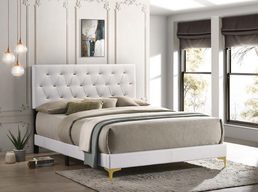 Kendall - Panel Upholstered Bed – Upholstered Beds by CoasterEveryday at Furniture Wholesale Plus , Nashville furniture store
