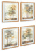 Bryneford - Wall Art Set (Set of 4) - Multi – Framed Print Sets by Signature Design by Ashley® at Furniture Wholesale Plus , Nashville furniture store