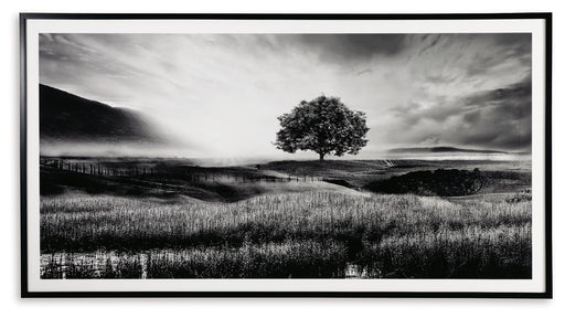 Deborland - Wall Art - Black / White – Framed Prints by Signature Design by Ashley® at Furniture Wholesale Plus , Nashville furniture store