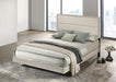 Trenton - Wood Panel Bed - Premium Upholstered Beds from Coaster Fine Furniture - Just $249! Shop now at Furniture Wholesale Plus  We are the best furniture store in Nashville, Hendersonville, Goodlettsville, Madison, Antioch, Mount Juliet, Lebanon, Gallatin, Springfield, Murfreesboro, Franklin, Brentwood