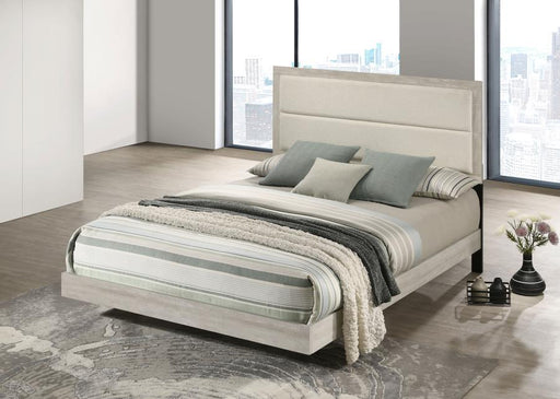 Trenton - Wood Panel Bed - Premium Upholstered Beds from Coaster Fine Furniture - Just $249! Shop now at Furniture Wholesale Plus  We are the best furniture store in Nashville, Hendersonville, Goodlettsville, Madison, Antioch, Mount Juliet, Lebanon, Gallatin, Springfield, Murfreesboro, Franklin, Brentwood