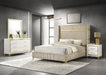 Lucia - Bedroom Set With Upholstered Wingback Panel Bed - Premium 4 Piece Bedroom Sets from Coaster Fine Furniture - Just $1139! Shop now at Furniture Wholesale Plus  We are the best furniture store in Nashville, Hendersonville, Goodlettsville, Madison, Antioch, Mount Juliet, Lebanon, Gallatin, Springfield, Murfreesboro, Franklin, Brentwood