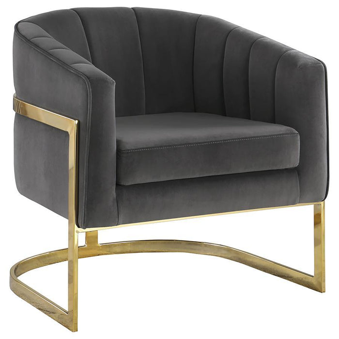 Alamor - Upholstered Barrel Back Accent Chair - Dark Gray - Premium Accent Chairs from CoasterElevations - Just $579! Shop now at Furniture Wholesale Plus  We are the best furniture store in Nashville, Hendersonville, Goodlettsville, Madison, Antioch, Mount Juliet, Lebanon, Gallatin, Springfield, Murfreesboro, Franklin, Brentwood