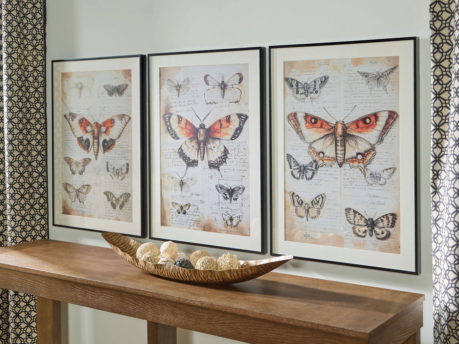 Jossletts - Wall Art Set (Set of 3) - Orange / Black / Ivory – Framed Print Sets by Signature Design by Ashley® at Furniture Wholesale Plus , Nashville furniture store