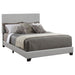 Dorian Upholstered Eastern King Bed Grey - Premium Bed from Coaster Z2 Standard - Just $186! Shop now at Furniture Wholesale Plus  We are the best furniture store in Nashville, Hendersonville, Goodlettsville, Madison, Antioch, Mount Juliet, Lebanon, Gallatin, Springfield, Murfreesboro, Franklin, Brentwood