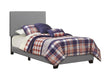 Dorian Upholstered Twin Bed Grey - Premium Bed from Coaster Z2 Standard - Just $126! Shop now at Furniture Wholesale Plus  We are the best furniture store in Nashville, Hendersonville, Goodlettsville, Madison, Antioch, Mount Juliet, Lebanon, Gallatin, Springfield, Murfreesboro, Franklin, Brentwood