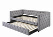 Mockern Tufted Upholstered Daybed with Trundle Grey - Premium Daybed from Coaster Z2 Standard - Just $570! Shop now at Furniture Wholesale Plus  We are the best furniture store in Nashville, Hendersonville, Goodlettsville, Madison, Antioch, Mount Juliet, Lebanon, Gallatin, Springfield, Murfreesboro, Franklin, Brentwood