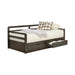 Sorrento 2-drawer Twin XL Daybed with Extension Trundle Grey - Premium Daybed from Coaster Z2 Standard - Just $618! Shop now at Furniture Wholesale Plus  We are the best furniture store in Nashville, Hendersonville, Goodlettsville, Madison, Antioch, Mount Juliet, Lebanon, Gallatin, Springfield, Murfreesboro, Franklin, Brentwood