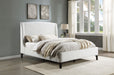 Mosby Upholstered Curved Headboard Platform Bed - Premium Bed from Coaster Z2 Standard - Just $798! Shop now at Furniture Wholesale Plus  We are the best furniture store in Nashville, Hendersonville, Goodlettsville, Madison, Antioch, Mount Juliet, Lebanon, Gallatin, Springfield, Murfreesboro, Franklin, Brentwood