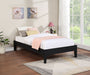 Hounslow Platform Bed - Premium Foundation from Coaster Z2 Standard - Just $258! Shop now at Furniture Wholesale Plus  We are the best furniture store in Nashville, Hendersonville, Goodlettsville, Madison, Antioch, Mount Juliet, Lebanon, Gallatin, Springfield, Murfreesboro, Franklin, Brentwood