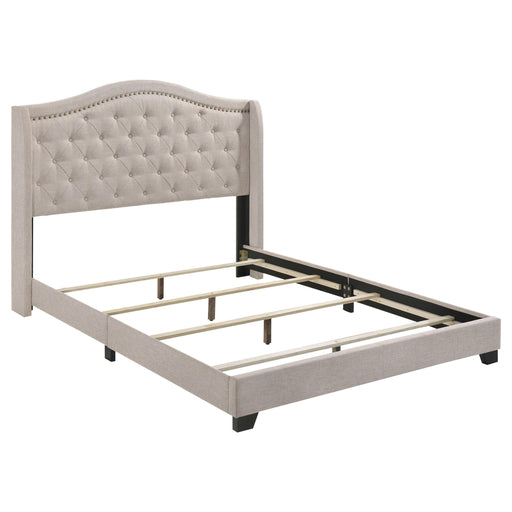 Sonoma Camel Back Eastern King Bed Beige - Premium Bed from Coaster Z2 Standard - Just $390! Shop now at Furniture Wholesale Plus  We are the best furniture store in Nashville, Hendersonville, Goodlettsville, Madison, Antioch, Mount Juliet, Lebanon, Gallatin, Springfield, Murfreesboro, Franklin, Brentwood