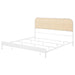 Amherst - Radio Weave Rattan Metal Bed – Panel Beds by Coaster Fine Furniture at Furniture Wholesale Plus , Nashville furniture store