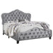 Bella King Upholstered Tufted Panel Bed Grey - Premium Bed from Coaster Z2 Standard - Just $438! Shop now at Furniture Wholesale Plus  We are the best furniture store in Nashville, Hendersonville, Goodlettsville, Madison, Antioch, Mount Juliet, Lebanon, Gallatin, Springfield, Murfreesboro, Franklin, Brentwood