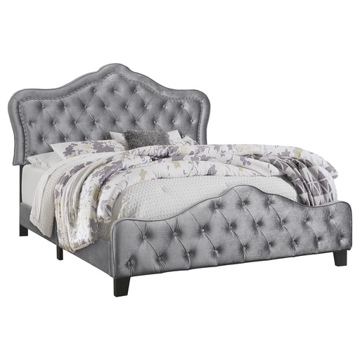 Bella California King Upholstered Tufted Panel Bed Grey - Premium Bed from Coaster Z2 Standard - Just $438! Shop now at Furniture Wholesale Plus  We are the best furniture store in Nashville, Hendersonville, Goodlettsville, Madison, Antioch, Mount Juliet, Lebanon, Gallatin, Springfield, Murfreesboro, Franklin, Brentwood