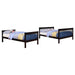 Chapman - Wood Bunk Bed – Bunk Beds by CoasterEveryday at Furniture Wholesale Plus , Nashville furniture store