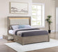 Kenora - LED Storage Bed – Storage Beds by Coaster Fine Furniture at Furniture Wholesale Plus , Nashville furniture store