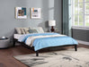 Hounslow - Universal Platform Bed - Premium Platform Beds from CoasterEssence - Just $309! Shop now at Furniture Wholesale Plus  We are the best furniture store in Nashville, Hendersonville, Goodlettsville, Madison, Antioch, Mount Juliet, Lebanon, Gallatin, Springfield, Murfreesboro, Franklin, Brentwood