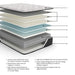 Elite Springs Plush - Mattress – Memory Foam Mattresses by Ashley Sleep® at Furniture Wholesale Plus , Nashville furniture store