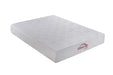 Key Full Memory Foam Mattress White - Premium Mattress from Coaster Z2 Standard - Just $458! Shop now at Furniture Wholesale Plus  We are the best furniture store in Nashville, Hendersonville, Goodlettsville, Madison, Antioch, Mount Juliet, Lebanon, Gallatin, Springfield, Murfreesboro, Franklin, Brentwood