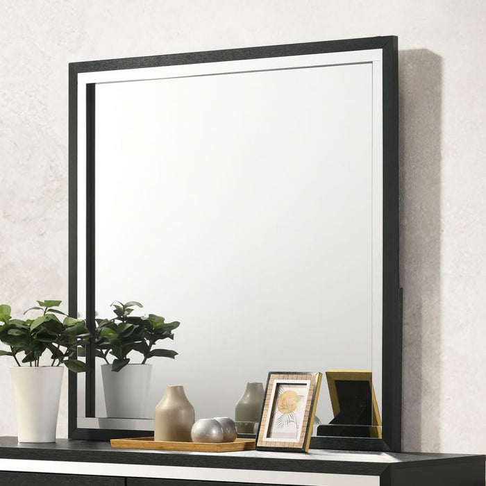 Lucia - Dresser Mirror – Mirrors by Coaster Fine Furniture at Furniture Wholesale Plus , Nashville furniture store