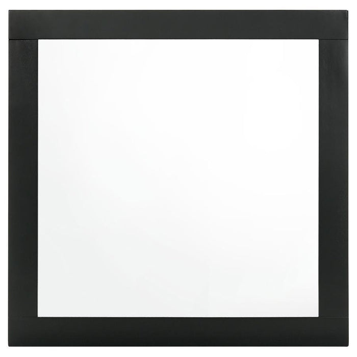 Caraway - Dresser Mirror – Mirrors by Coaster Fine Furniture at Furniture Wholesale Plus , Nashville furniture store