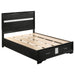 Miranda - Wood Storage Panel Bed – Storage Beds by CoasterEveryday at Furniture Wholesale Plus , Nashville furniture store