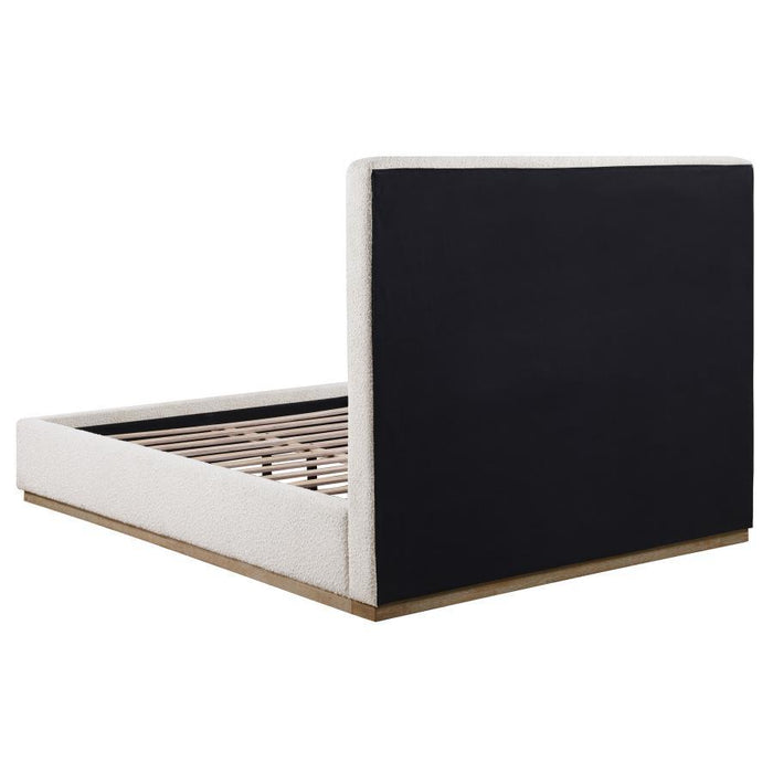 Knox - Upholstered Platform Bed – Upholstered Beds by Coaster Fine Furniture at Furniture Wholesale Plus , Nashville furniture store