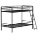 Carson - Metal Bunk Bed – Bunk Beds by Coaster Fine Furniture at Furniture Wholesale Plus , Nashville furniture store