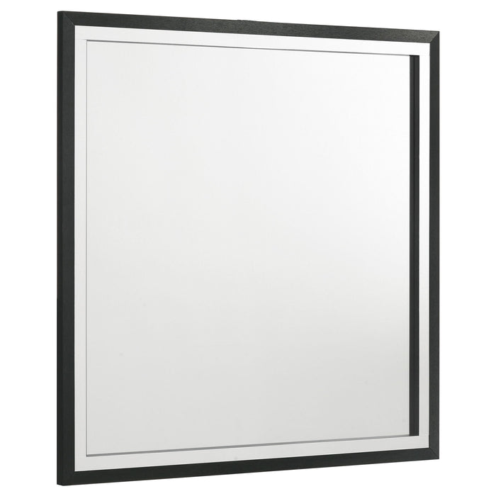 Lucia - Dresser Mirror – Mirrors by Coaster Fine Furniture at Furniture Wholesale Plus , Nashville furniture store