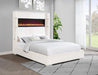 Tisdall - Upholstered Fireplace Bed – Upholstered Beds by Coaster Fine Furniture at Furniture Wholesale Plus , Nashville furniture store