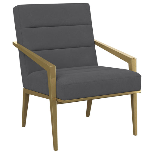 Kirra - Upholstered Metal Arm Accent Chair - Premium Accent Chairs from Coaster Fine Furniture - Just $459! Shop now at Furniture Wholesale Plus  We are the best furniture store in Nashville, Hendersonville, Goodlettsville, Madison, Antioch, Mount Juliet, Lebanon, Gallatin, Springfield, Murfreesboro, Franklin, Brentwood