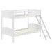 G405051 Twin/Twin Bunk Bed - Premium Bunk Bed from Coaster Z2 Standard - Just $418! Shop now at Furniture Wholesale Plus  We are the best furniture store in Nashville, Hendersonville, Goodlettsville, Madison, Antioch, Mount Juliet, Lebanon, Gallatin, Springfield, Murfreesboro, Franklin, Brentwood