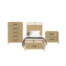 Ridgemont - Storage Bedroom Set – 3 Piece Bedroom Sets by Elements International at Furniture Wholesale Plus , Nashville furniture store