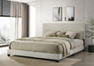 Dorian - Upholstered Panel Bed – Upholstered Beds by CoasterEveryday at Furniture Wholesale Plus , Nashville furniture store