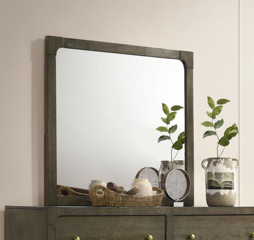 Gran Park - Dresser Mirror - Dark Cocoa - Premium Bedroom Mirrors from Coaster Fine Furniture - Just $189! Shop now at Furniture Wholesale Plus  We are the best furniture store in Nashville, Hendersonville, Goodlettsville, Madison, Antioch, Mount Juliet, Lebanon, Gallatin, Springfield, Murfreesboro, Franklin, Brentwood