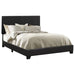 Dorian - Upholstered Panel Bed – Upholstered Beds by CoasterEveryday at Furniture Wholesale Plus , Nashville furniture store