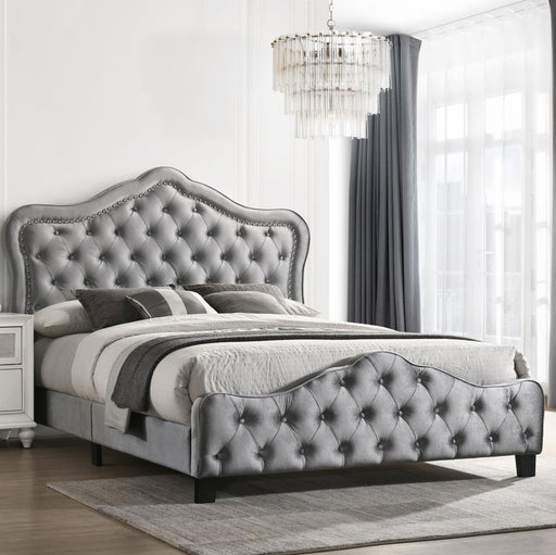 Bella - Upholstered Panel Bed - Premium Upholstered Beds from CoasterEssence - Just $429! Shop now at Furniture Wholesale Plus  We are the best furniture store in Nashville, Hendersonville, Goodlettsville, Madison, Antioch, Mount Juliet, Lebanon, Gallatin, Springfield, Murfreesboro, Franklin, Brentwood