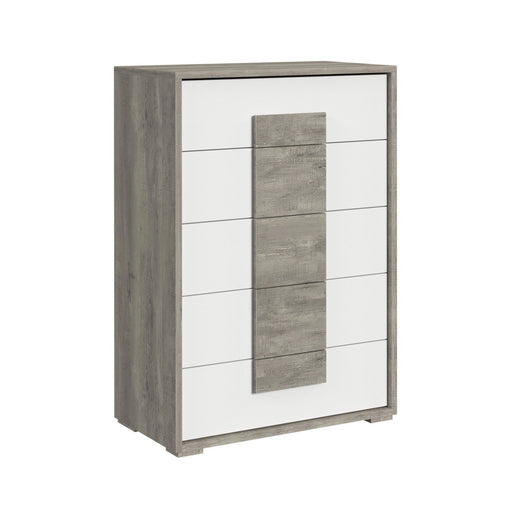 San Matteo - 5-Drawer Chest - Gray – Accent Chests by Elements International at Furniture Wholesale Plus , Nashville furniture store