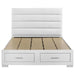 Felicity - Storage Bed – Storage Beds by Coaster Fine Furniture at Furniture Wholesale Plus , Nashville furniture store