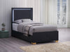 Marceline - Wood LED Panel Bed – Panel Beds by Coaster Fine Furniture at Furniture Wholesale Plus , Nashville furniture store
