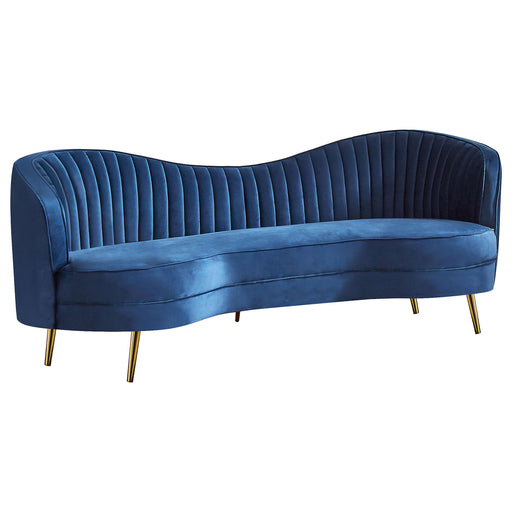 Sophia Upholstered Camel Back Sofa Blue - Premium Sofa from Coaster Z2 Standard - Just $878! Shop now at Furniture Wholesale Plus  We are the best furniture store in Nashville, Hendersonville, Goodlettsville, Madison, Antioch, Mount Juliet, Lebanon, Gallatin, Springfield, Murfreesboro, Franklin, Brentwood